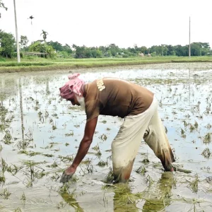 5 thousand crore rupees in flood damage in 7 districts