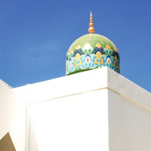 Mithapukur model mosque imam dismissed