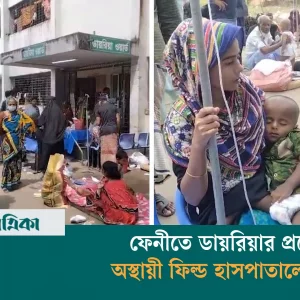 Diarrhea incidence in Feni is several times higher than the capacity of patients