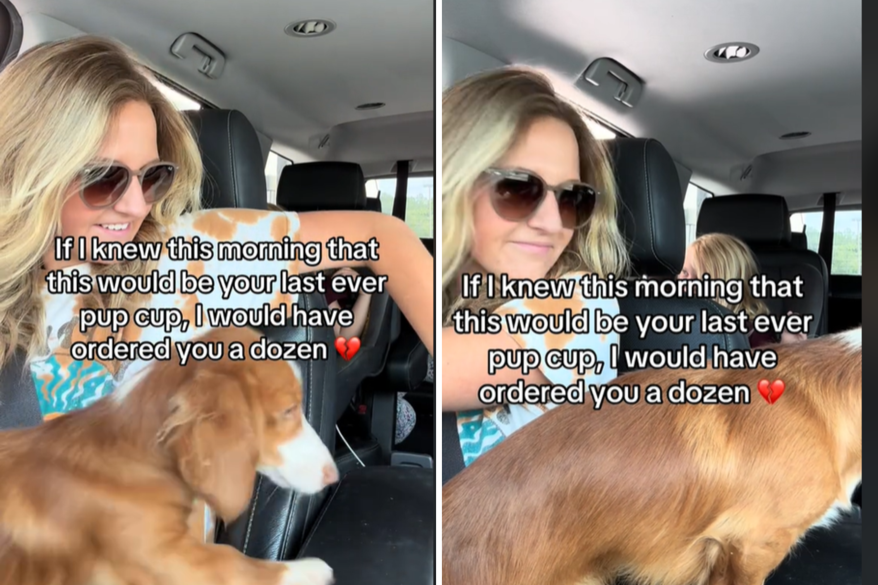 Woman Unknowingly Captures Dachshund Enjoying His ‘Last Ever’ Pup Cup