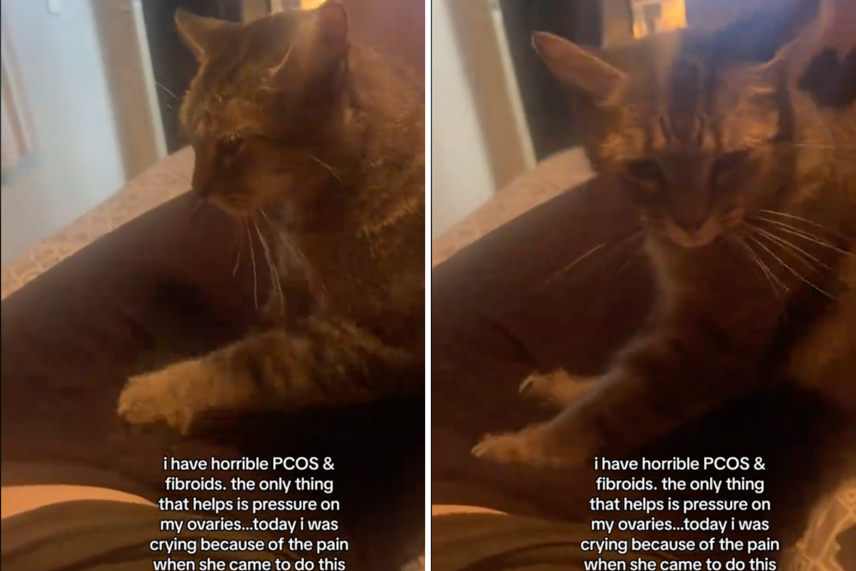 Woman ‘Crying’ Because of Chronic Pain, Then Her Cat Decides to Step In