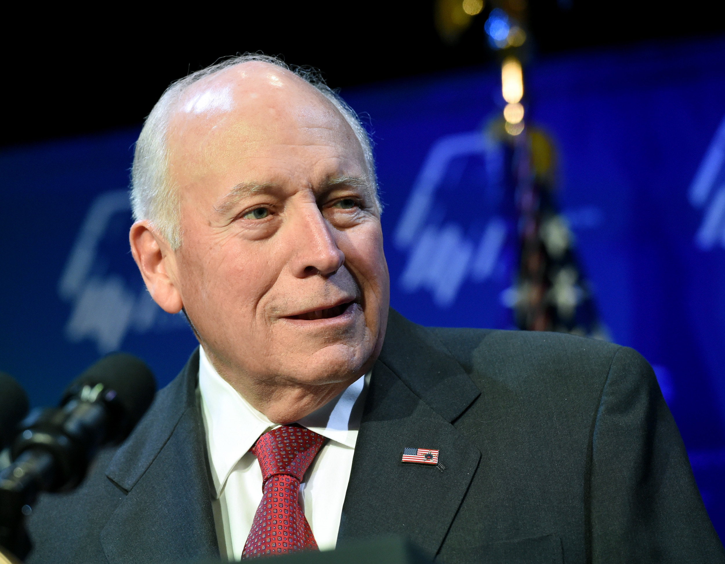 Former VP Dick Cheney Will Vote for Kamala Harris, Liz Cheney Says