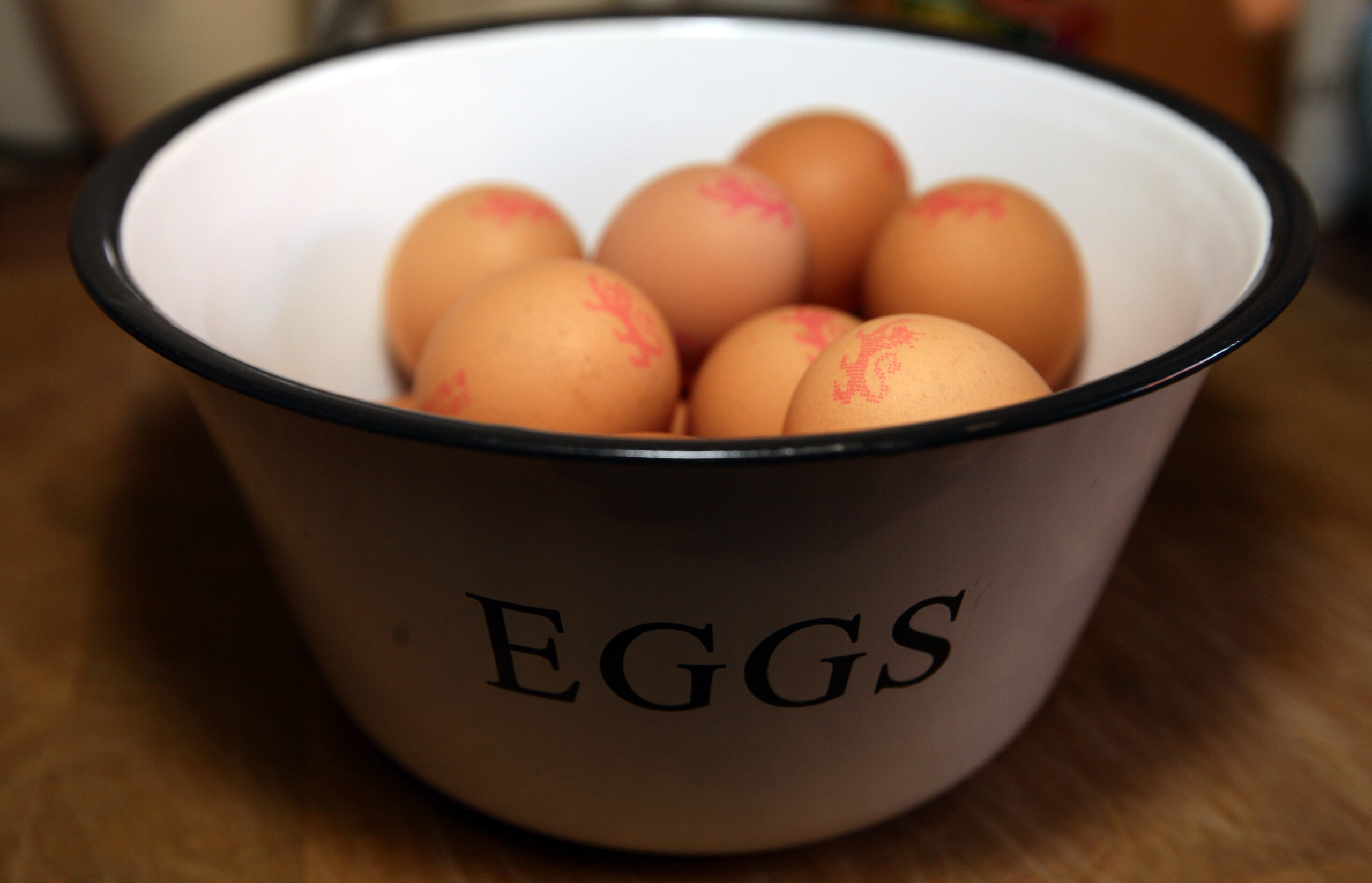 Eggs Recalled as Salmonella Warning Issued