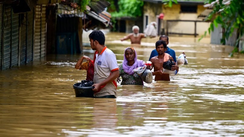 Another bad news about the flood