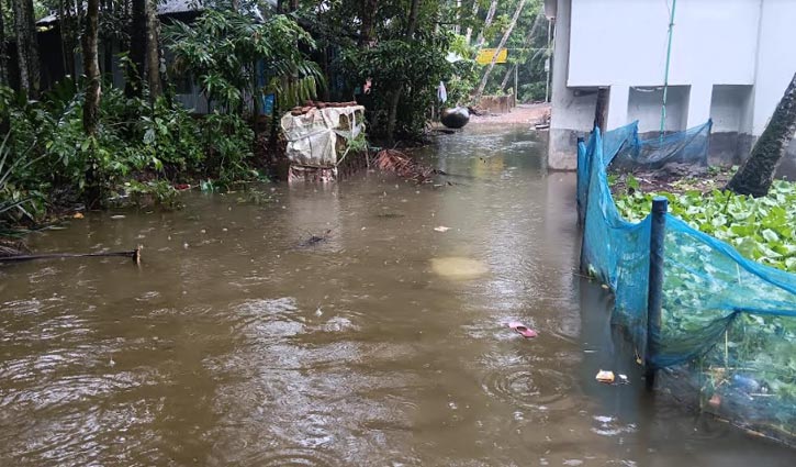 Rain continues in Lakshmipur All Bengal