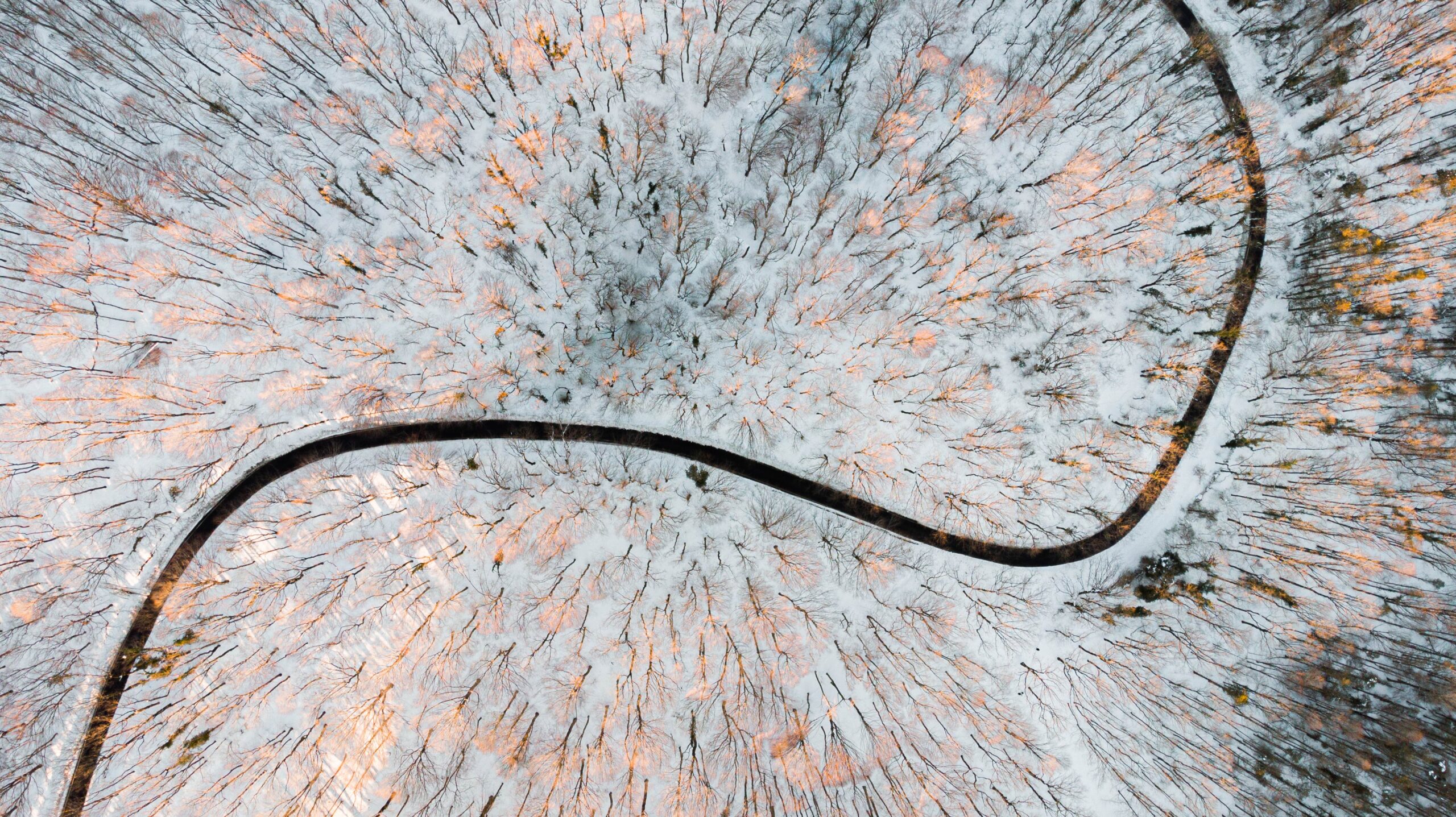 Rethinking Scale: Community-Led Approaches to Strengthening Sustainability During Uncertain Times