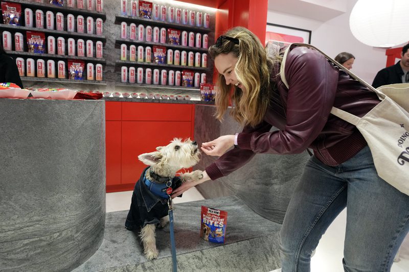 Milk-Bone and Jif Collab on a Pop-up, Dog-friendly ‘Museum’