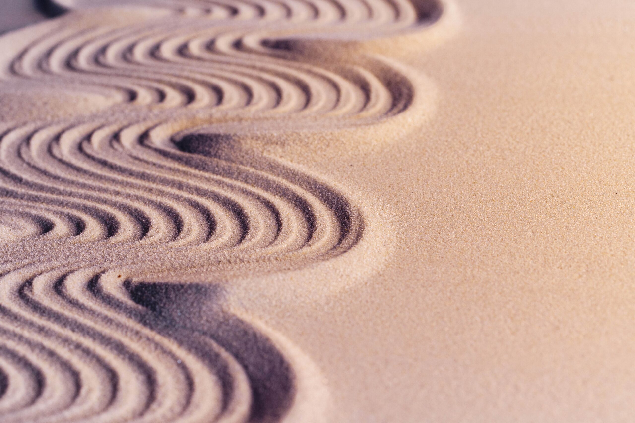 The Many Paths to Launching and Scaling a Collaborative Fund