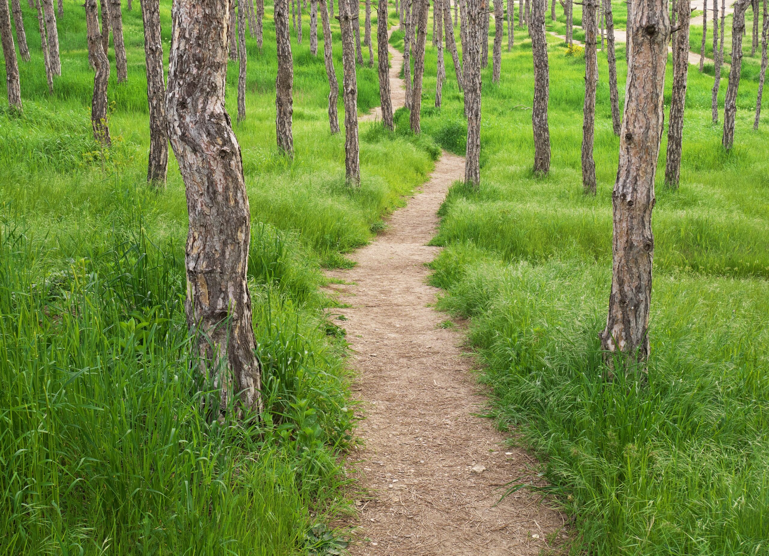 Now is When Nonprofits Need Philanthropy the Most: Five Ways Funders Can Step Up