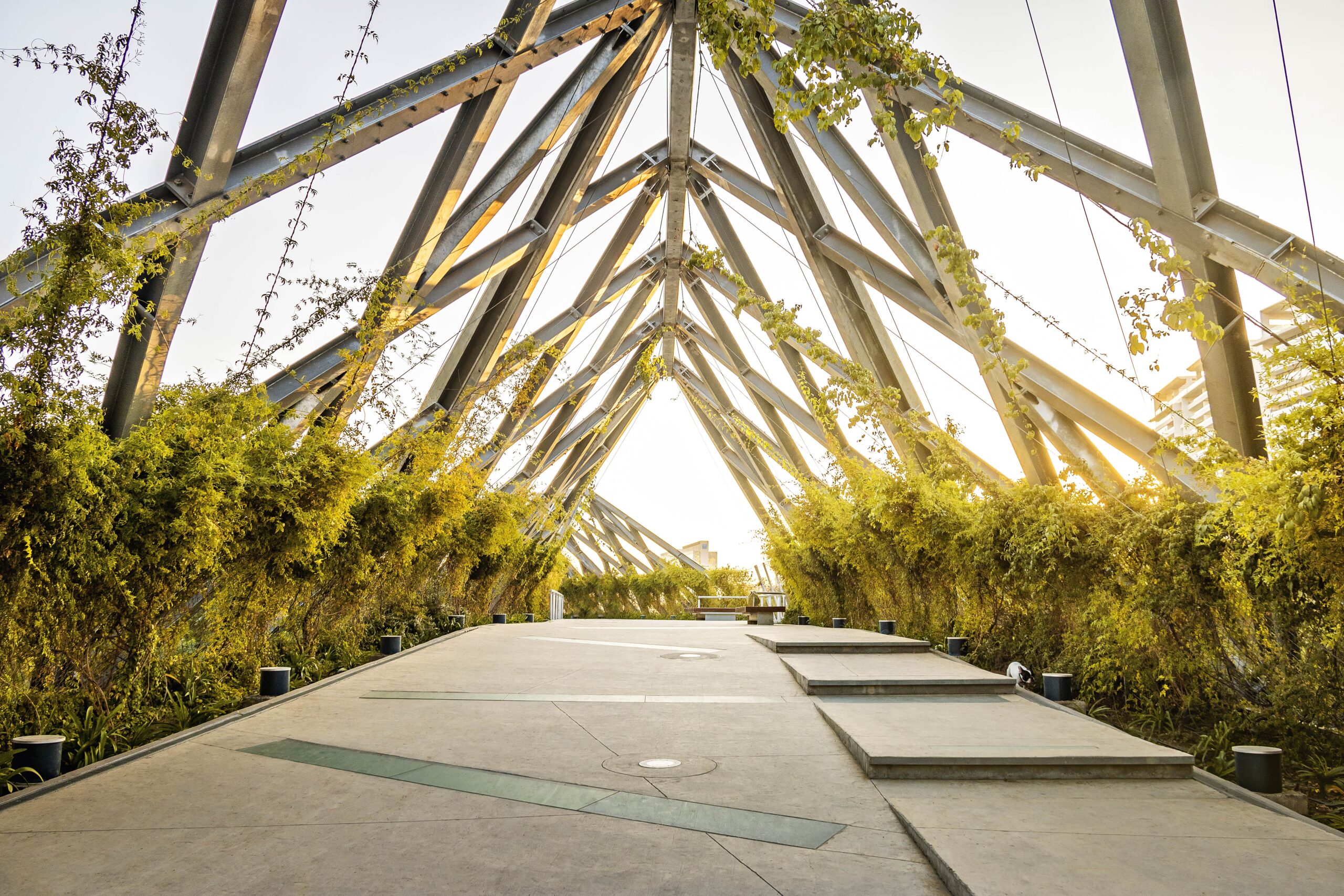 Beyond-the-Grant Support: Shifting Philanthropic Practice Toward Care and Deeper Partnership