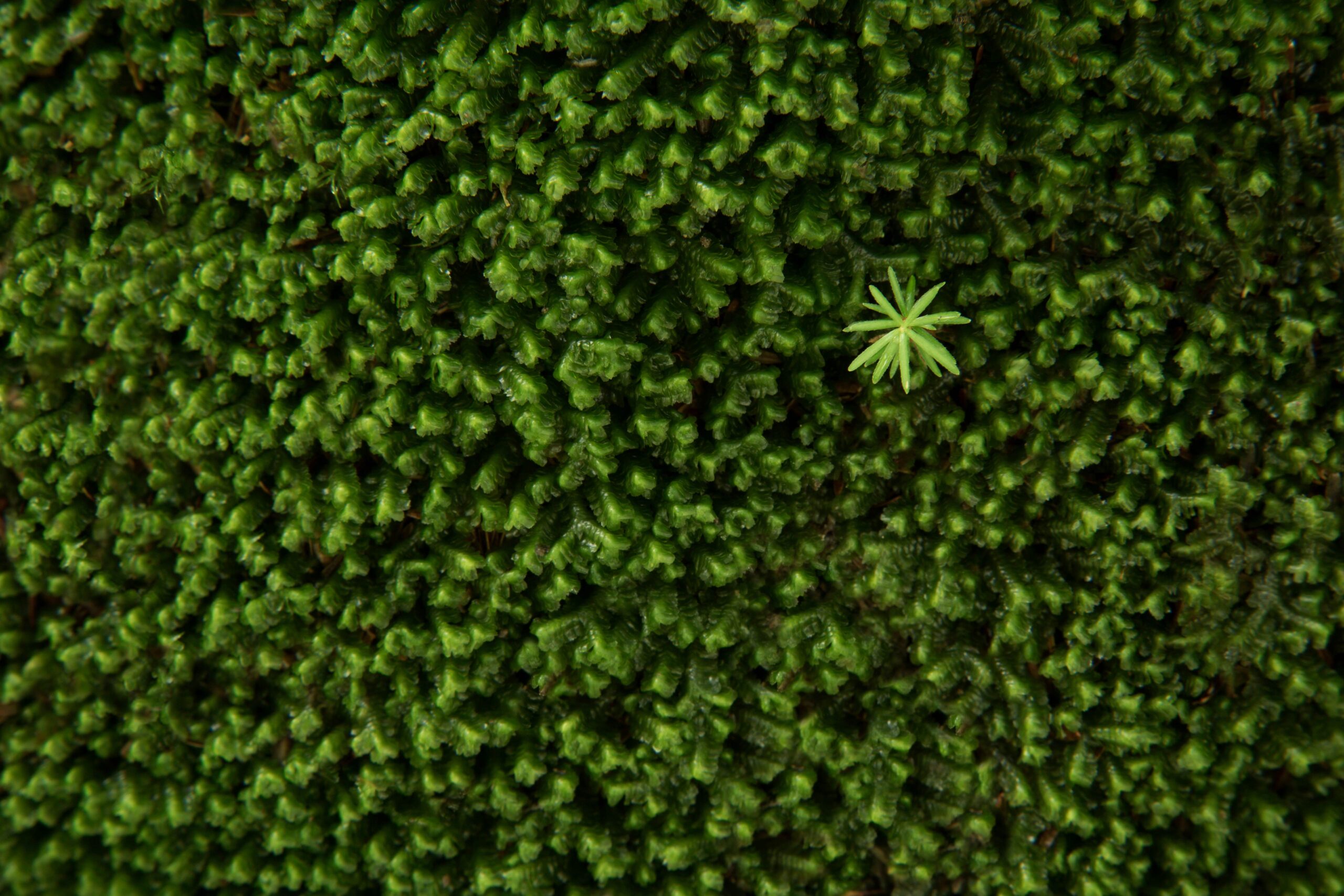 Reimagining Reporting, Part 1: Insights From the Field