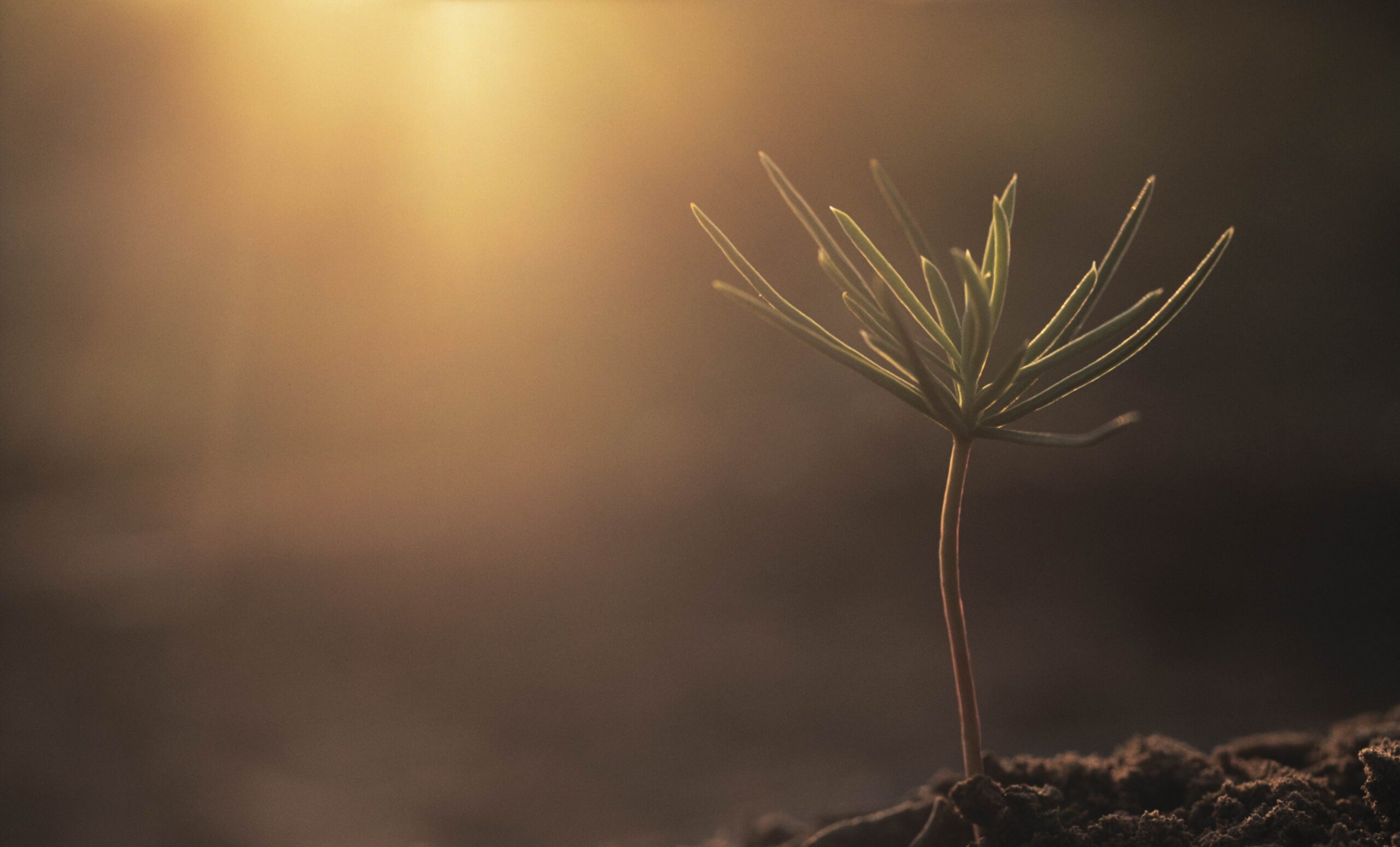 Why Collaborative Funds Give Me Hope Right Now