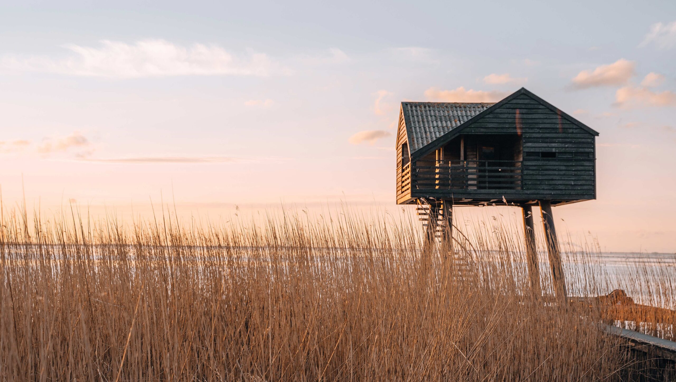 A Call for Higher Payout from a Believer in Perpetual Foundations