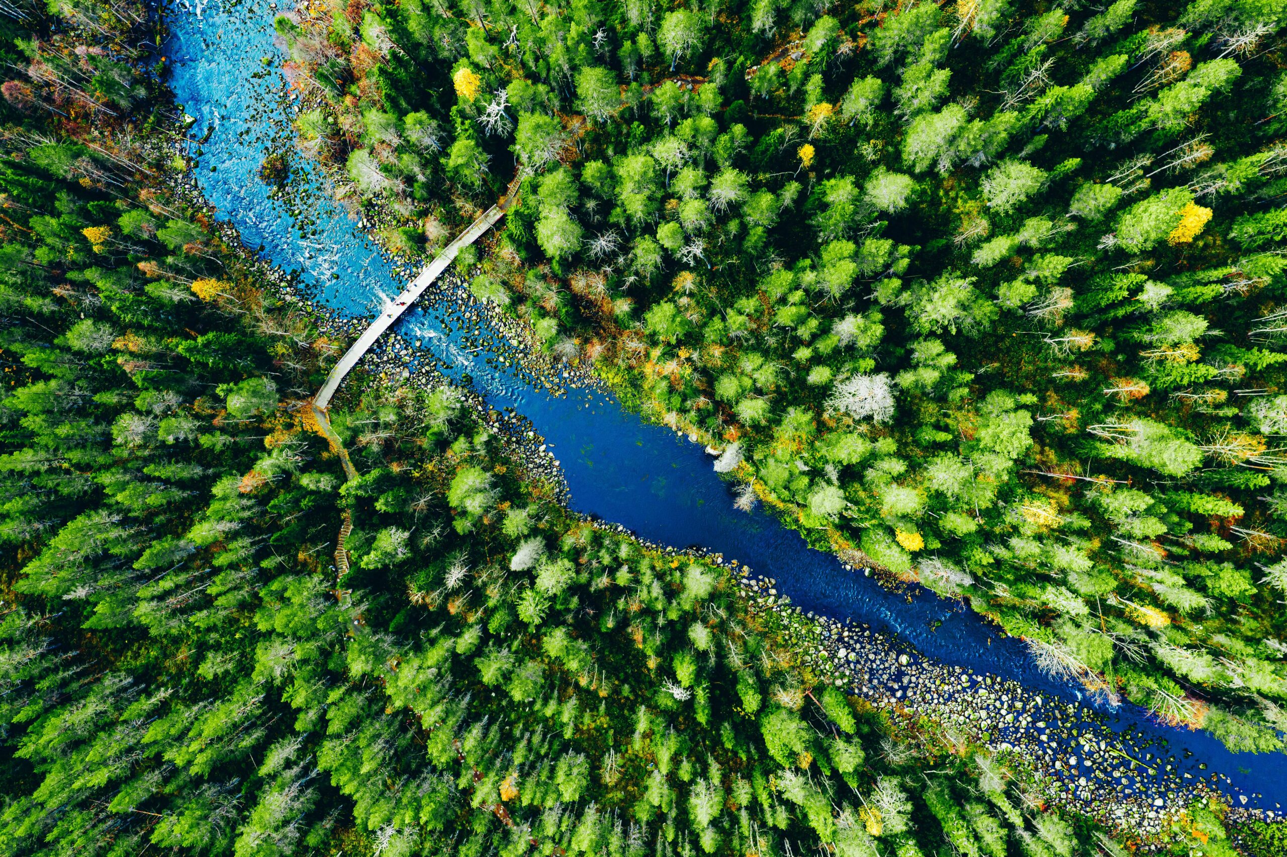 From Belief to Practice: Why Multiyear Flexible Funding Still Lags Behind Consensus